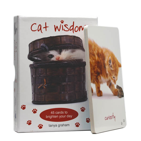 Cat Wisdom - Tanya Graham - Box