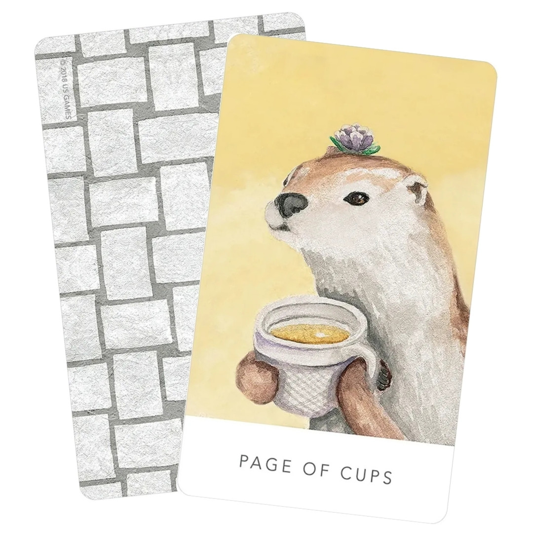 White Sage - Page of Cups