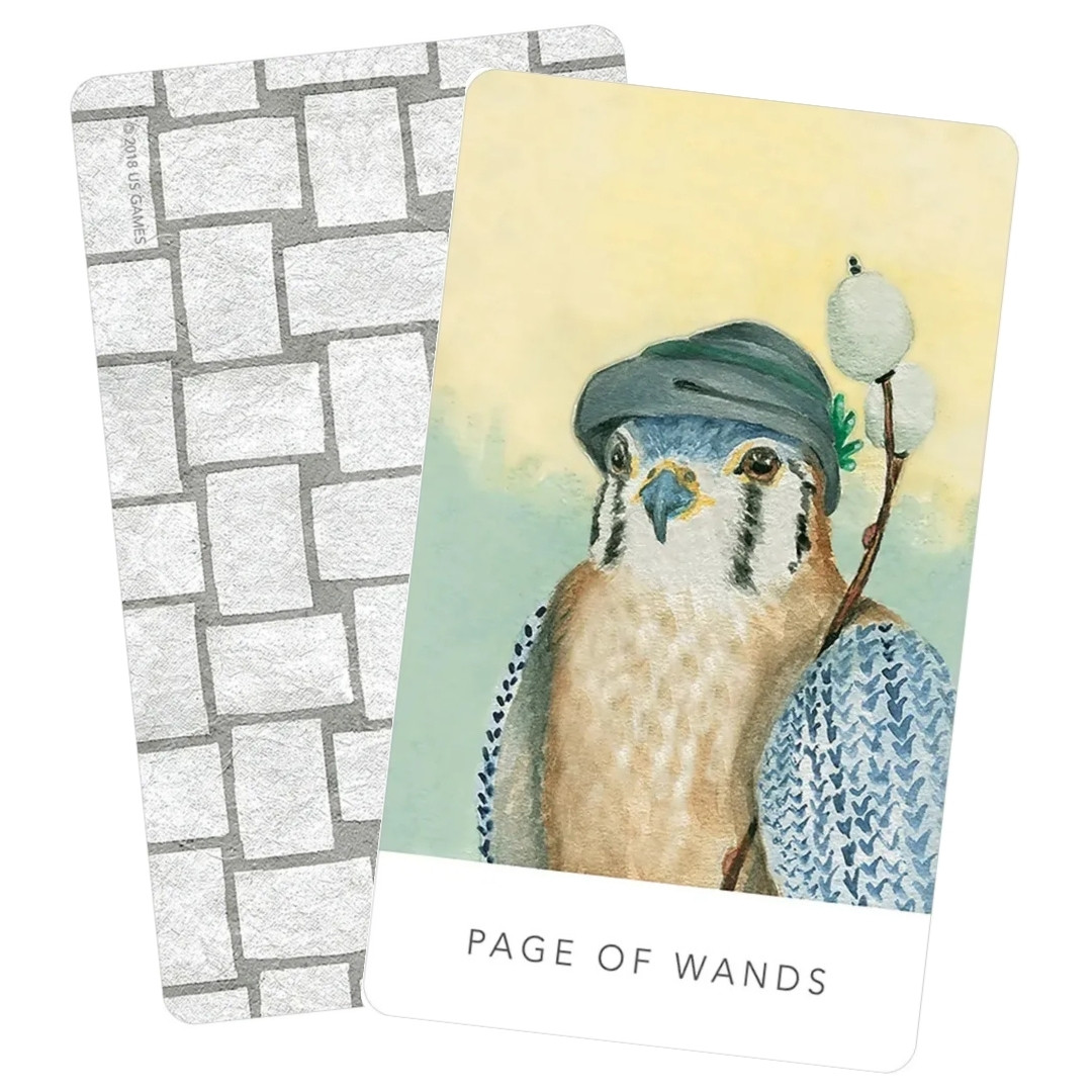 White Sage - Page of Wands
