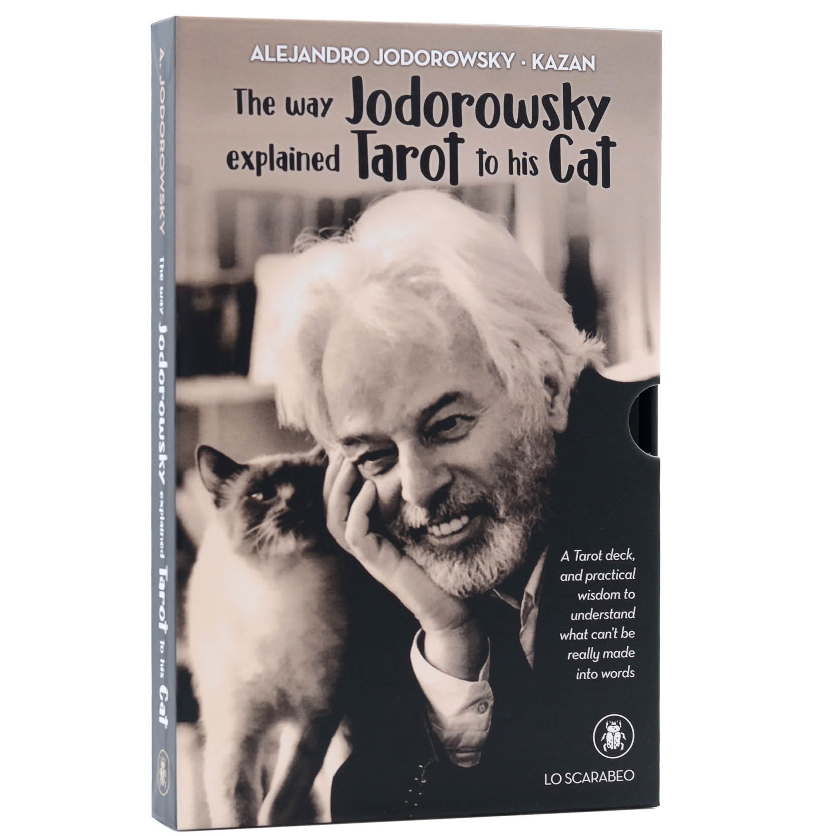 The way Jodorowsky explained Tarot to his Cat