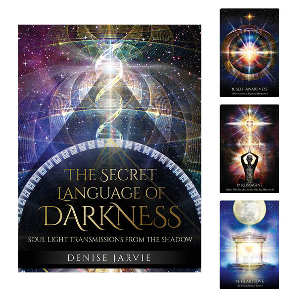 The Secret Language of darkness - Denise Jarvie - Cover