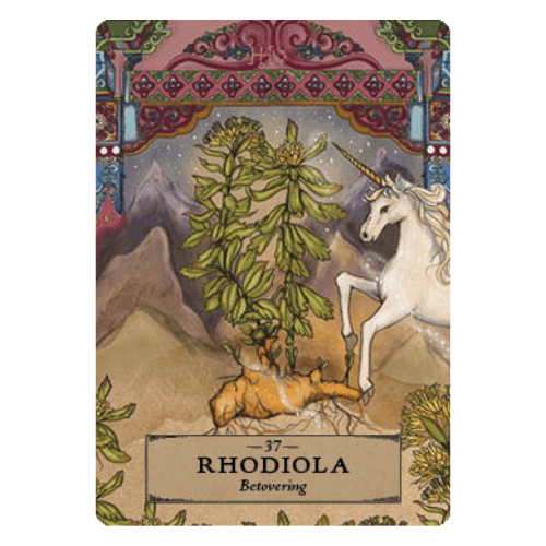 37 Rhodiola - Kruiden Astrologie Orakel