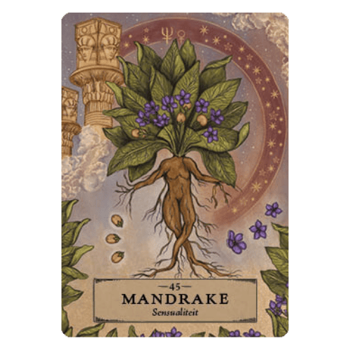 45 Mandrake - Kruiden Astrologie Orakel