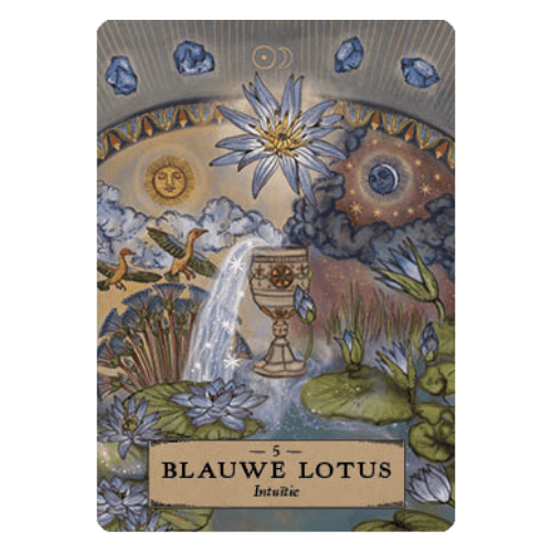 5 Blauwe Lotus - Kruiden Astrologie Orakel