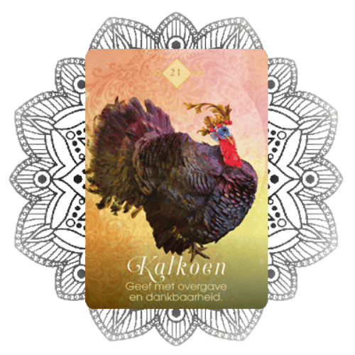 Orakelkaart Kalkoen - Boodschappen van de Dieren - Colette Baron Reid
