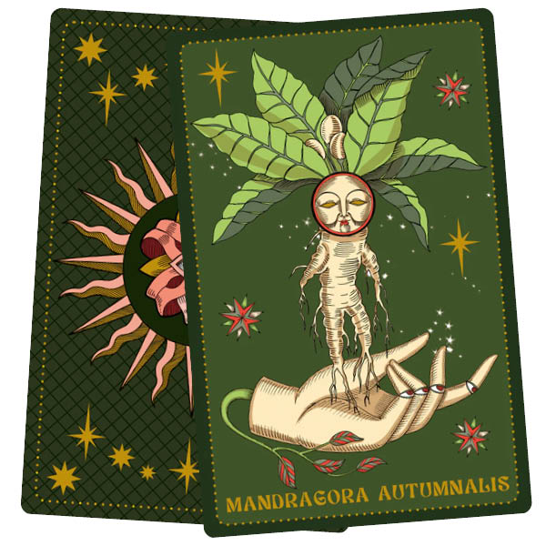 Herbarium Oracle Cards - Elisa Seitzinger StreghedelleMele - Mandragora Autumnalis