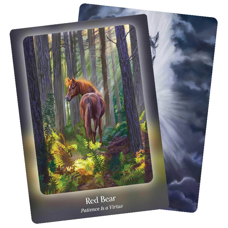 The Council of Horses Oracle- A 40-Card Deck and Guidebook - Red Bear