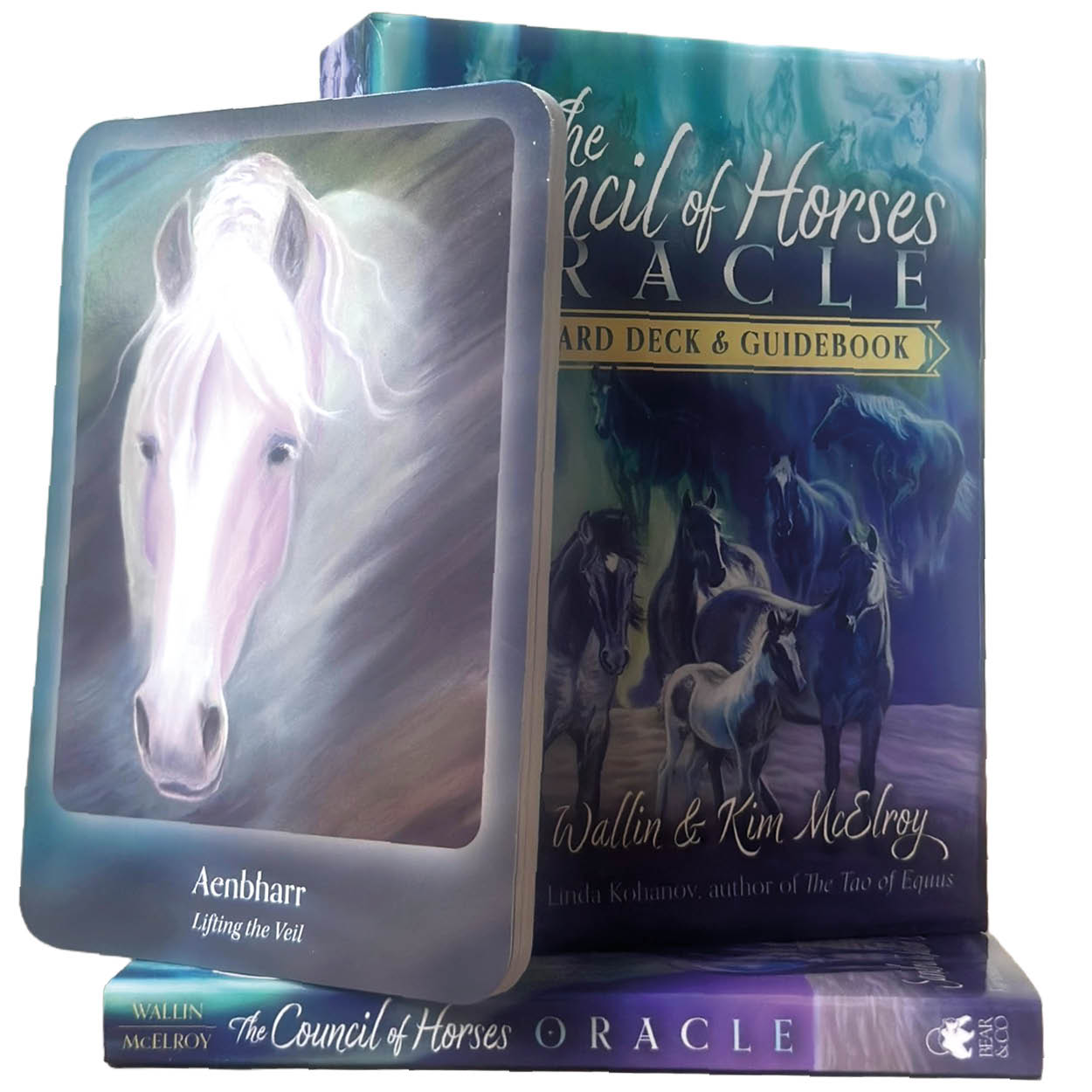 The Council of Horses Oracle