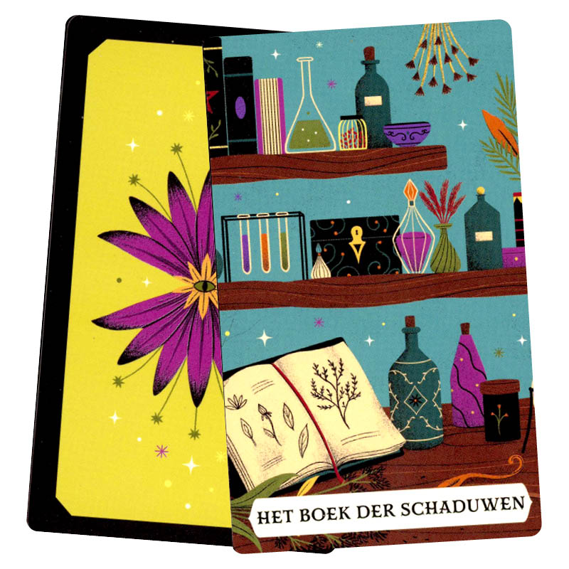 De Groene Heks - Het boek der Schaduwen