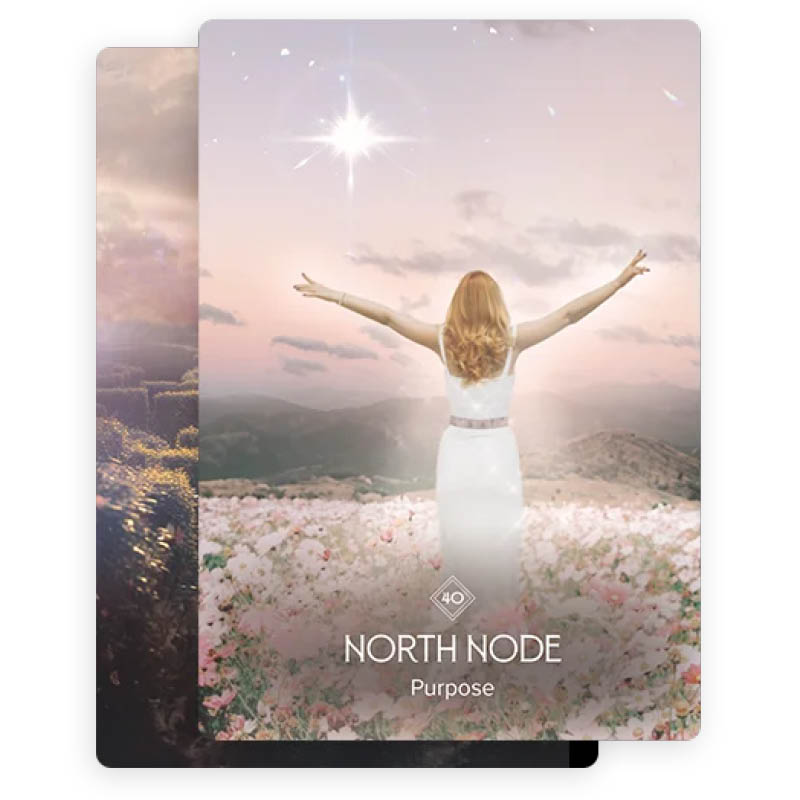The Business Astrology Oracle - North Node