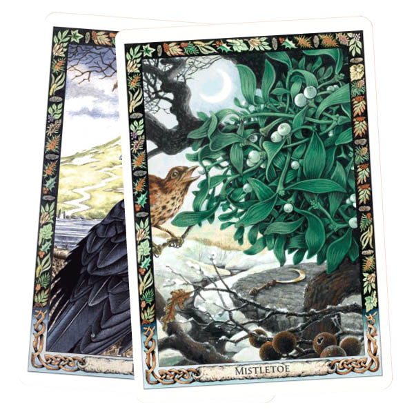 The Druid Animal Oracle Deck - Mistletoe