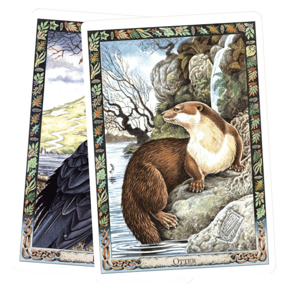The Druid Animal Oracle Deck - Otter