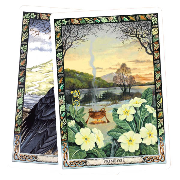 The Druid Animal Oracle Deck - Primrose