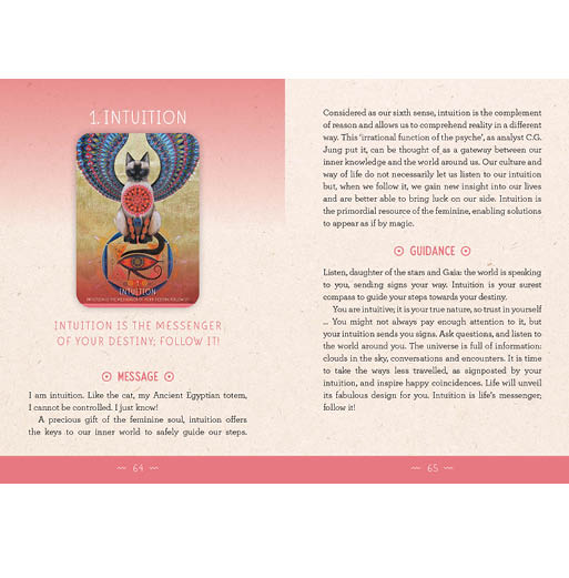 The Medicijne Woman Oracle - Catherine Maillard - Book 1