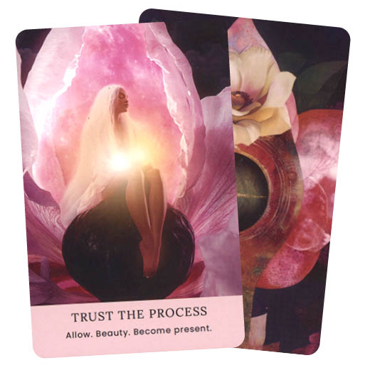 The Pussy Oracle - Trust the process