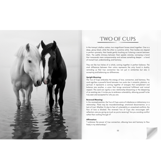 Compos Mentis Tarot – zwart-wit tarot met uitlegboek