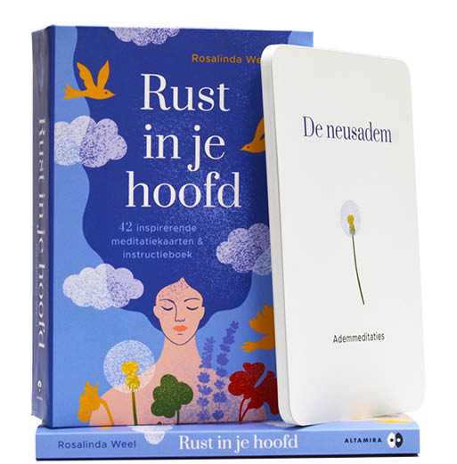 Rust in je hoofd - Rosalinda Weel - Packshot