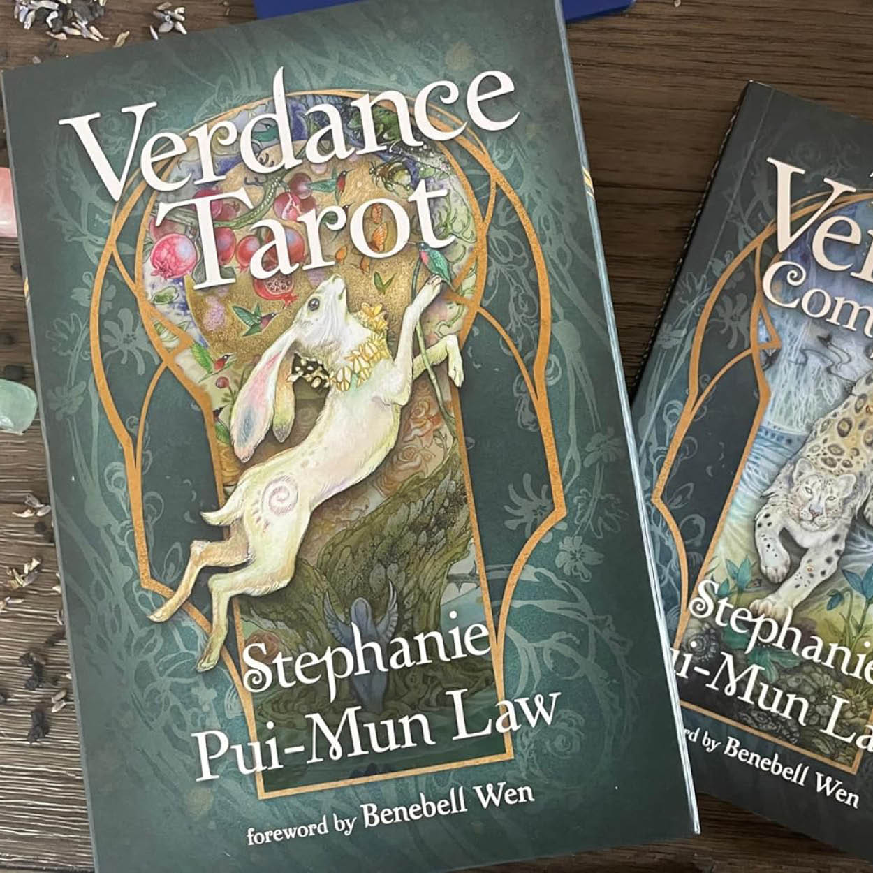 Verdance Tarot - Stephanie Pui-Mun Law - box2