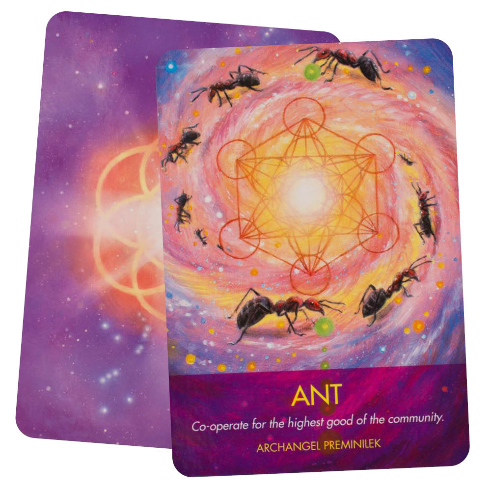 Archangel Animal Oracle Cards - ant