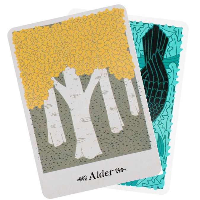 The Folklore Oracle | Criaturas y símbolos del bosque antiguo | Tarot.nl The Folklore Oracle | Mythen und Naturgeister im Überblick | Tarot.nl The Folklore Oracle | Légendes et symboles entre ciel et terre | Tarot.nl The Folklore Oracle | Mythic nature for daily insight and magic | Tarot.nl The Folklore Oracle | Mythen, natuur en symboliek in kaart | Tarot.nl