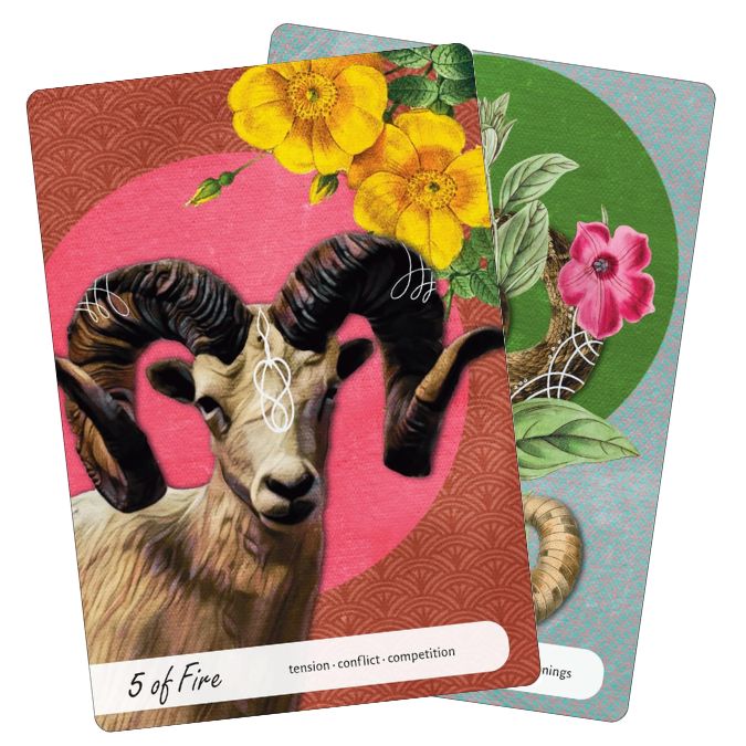 Wise Earth Medicine Tarot (5)