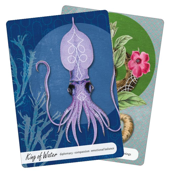 Wise Earth Medicine Tarot (7)