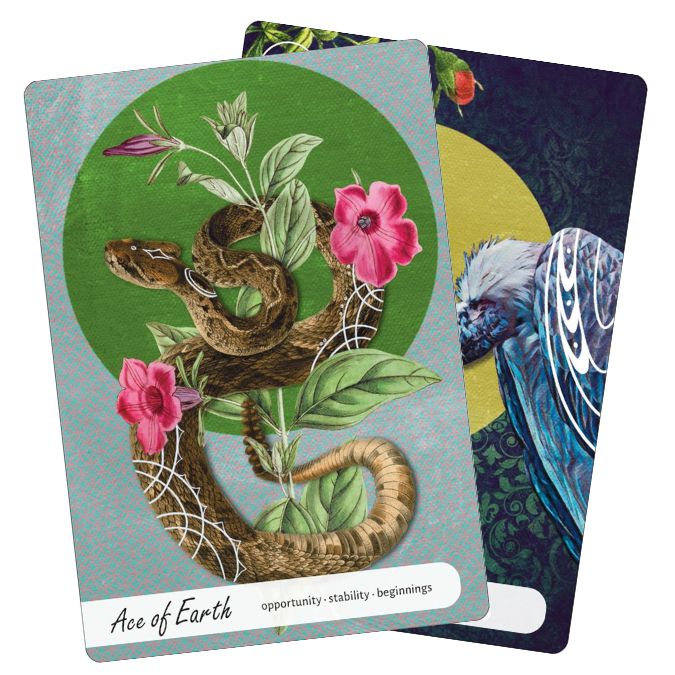 Wise Earth Medicine Tarot (8)