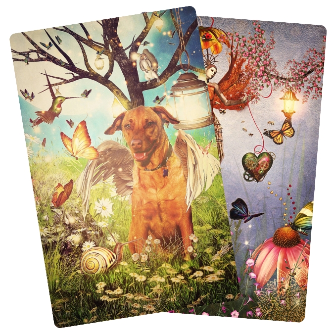 Angels of Healing and Hope Oracle features gentle angelic art by Yasmeen Westwood. Ideal for daily comfort and support through reflective oracle readings.