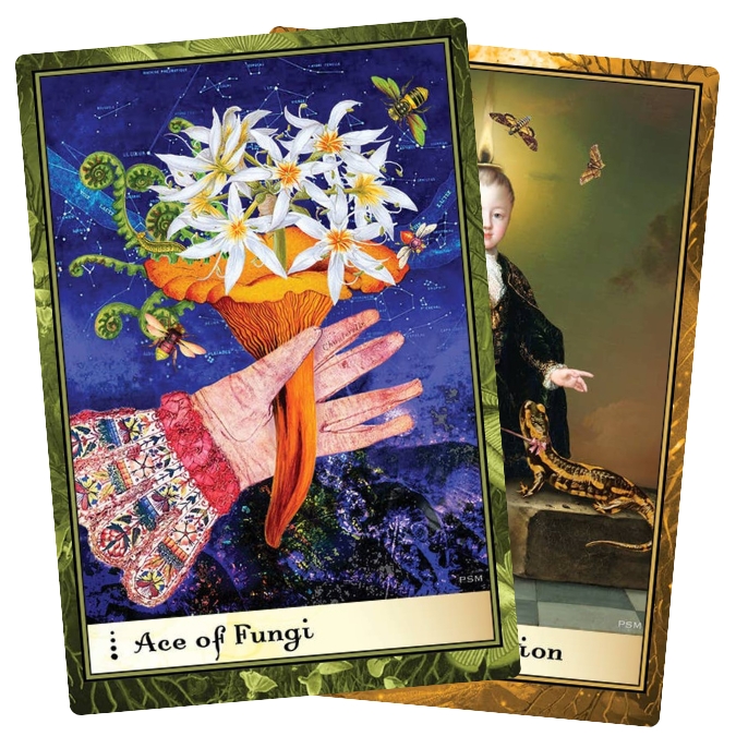 Boadicea’s Tarot of Earthly Delights features Paula Millet’s collage art across 80 cards with reimagined suits. For creative readers drawn to layered visuals.