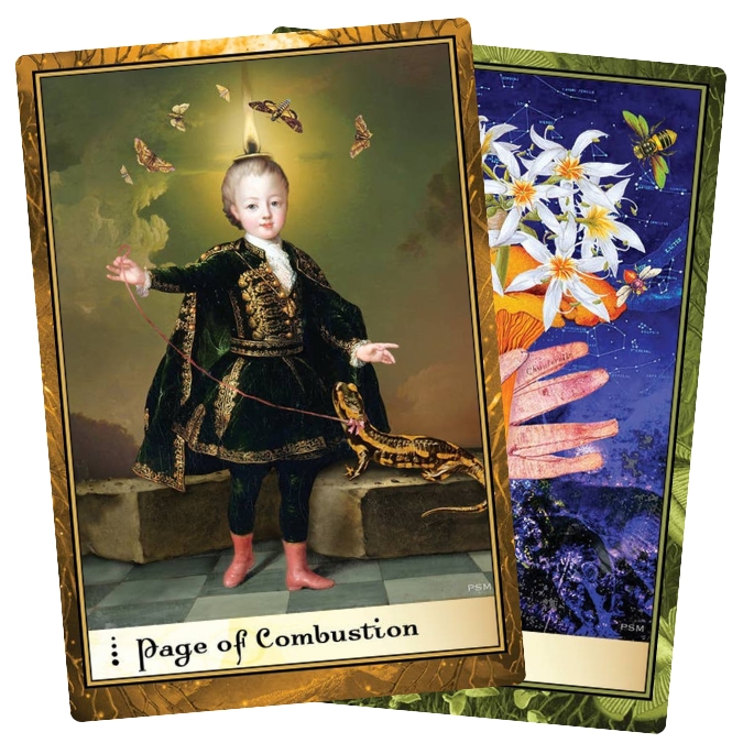 Boadicea’s Tarot of Earthly Delights features Paula Millet’s collage art across 80 cards with reimagined suits. For creative readers drawn to layered visuals.