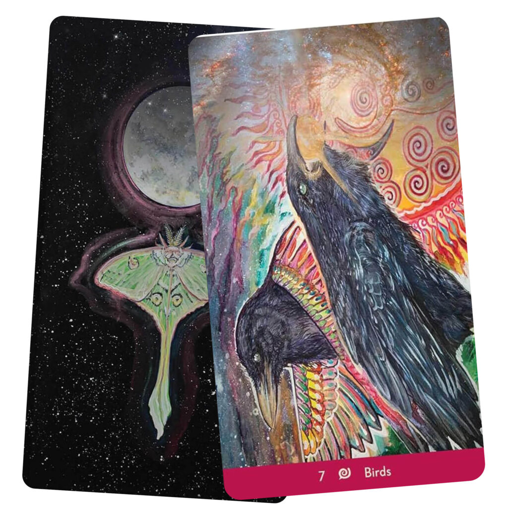 Dream Wisdom Oracle - Birds