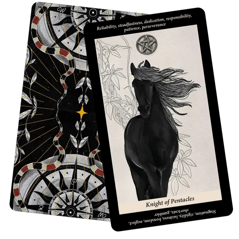Soul Reflections Tarot - Knight of Pentacles