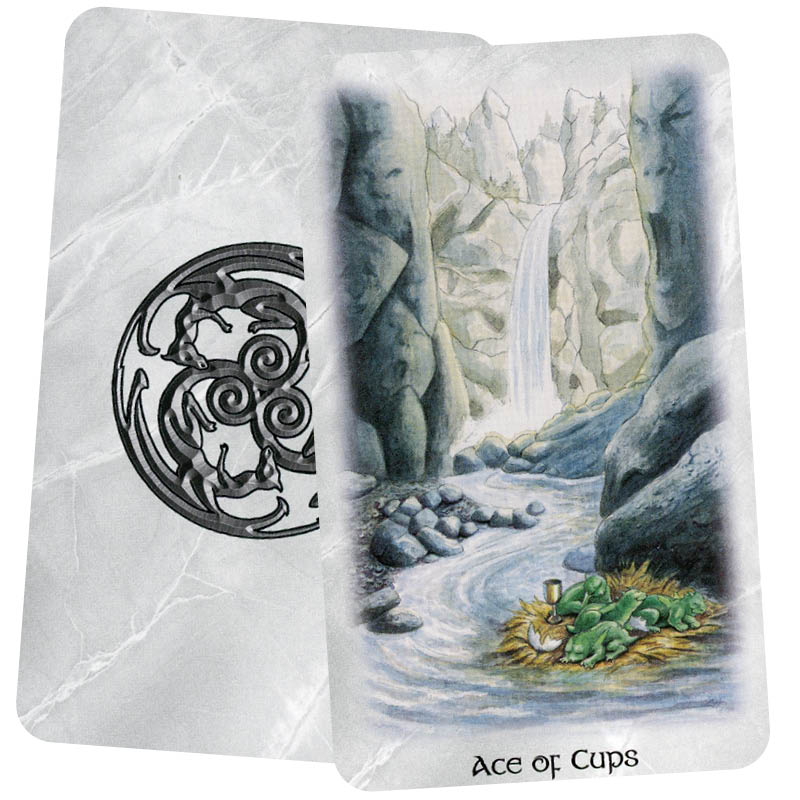 The Celtic Dragon Tarot - Ace of Cups