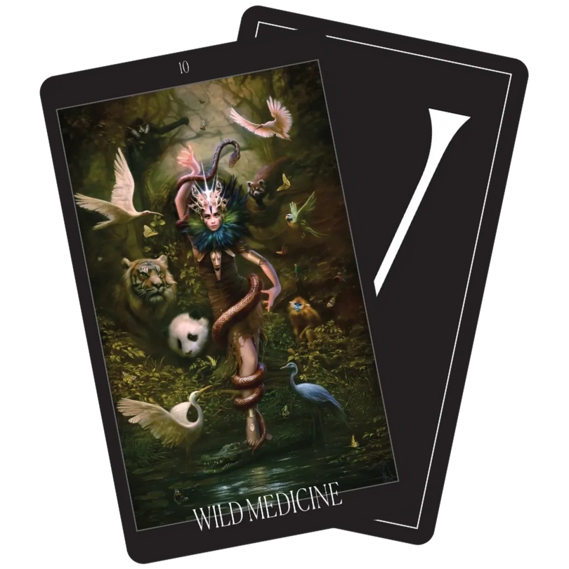 The Oracle of the Vampire Fae