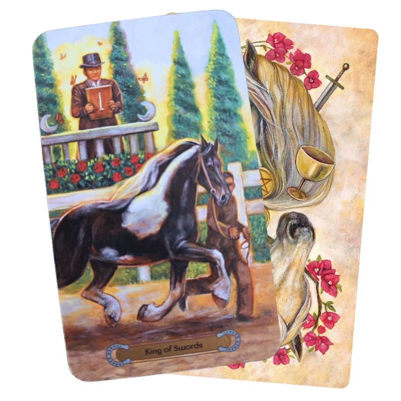 Unbridled Spirit Tarot - King of swords