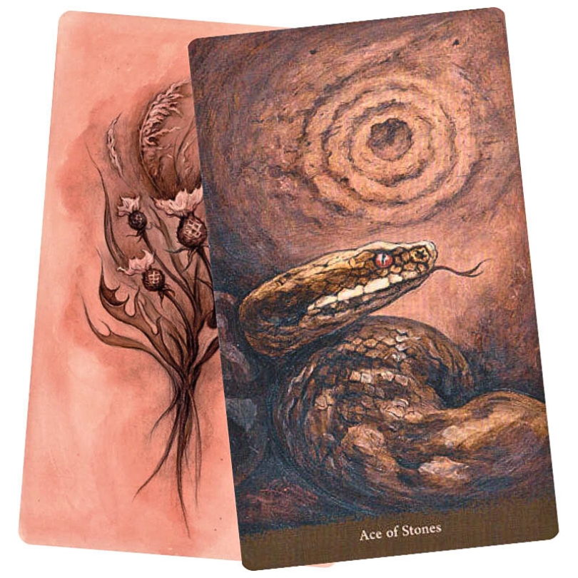 Witch Sister Tarot - ace of stones