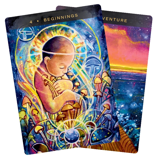 Sacred Mushroom Oracle - Beginnings