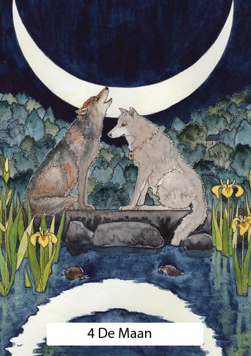 De Heksenwijsheid Tarot - De Maan