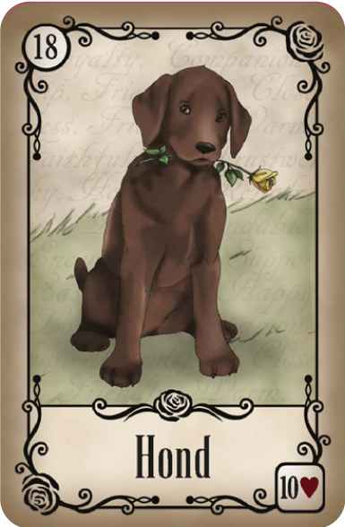 Hond
