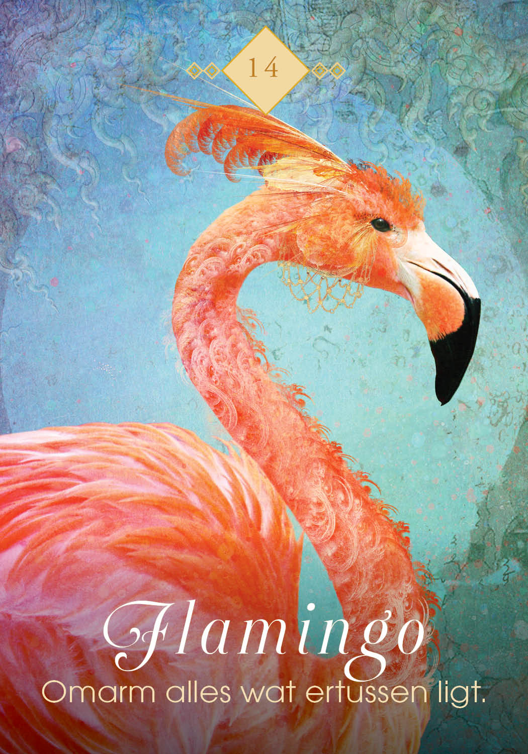 Flamingo