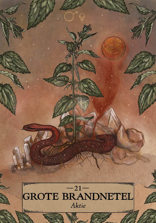 Grote brandnetel