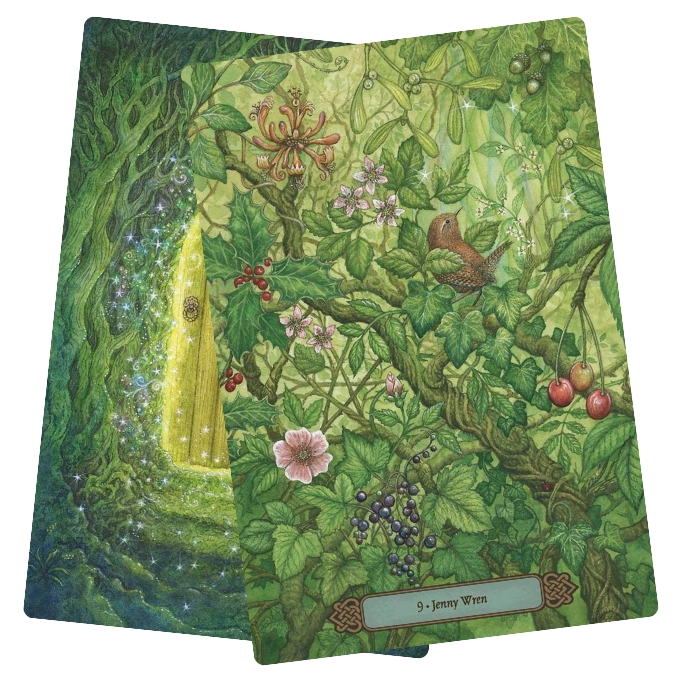 Forest of Enchantment Oracle - Jenny Wren