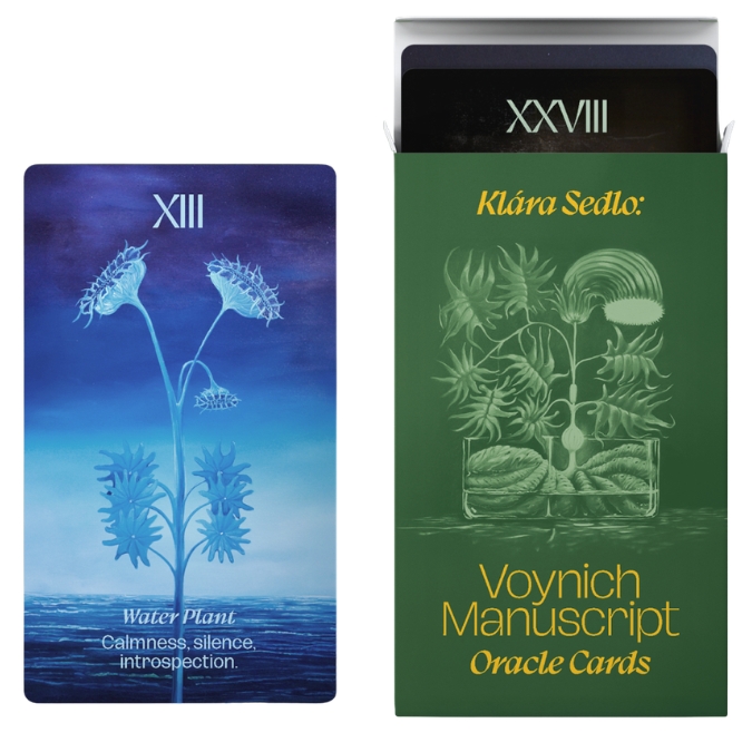 Voynich Manuscript Oracle