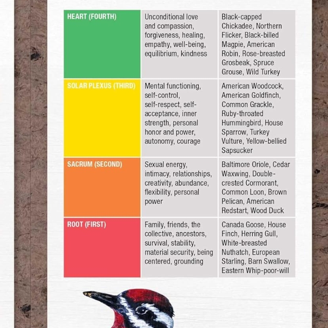 Bird Vibes Meditation Cards (4)