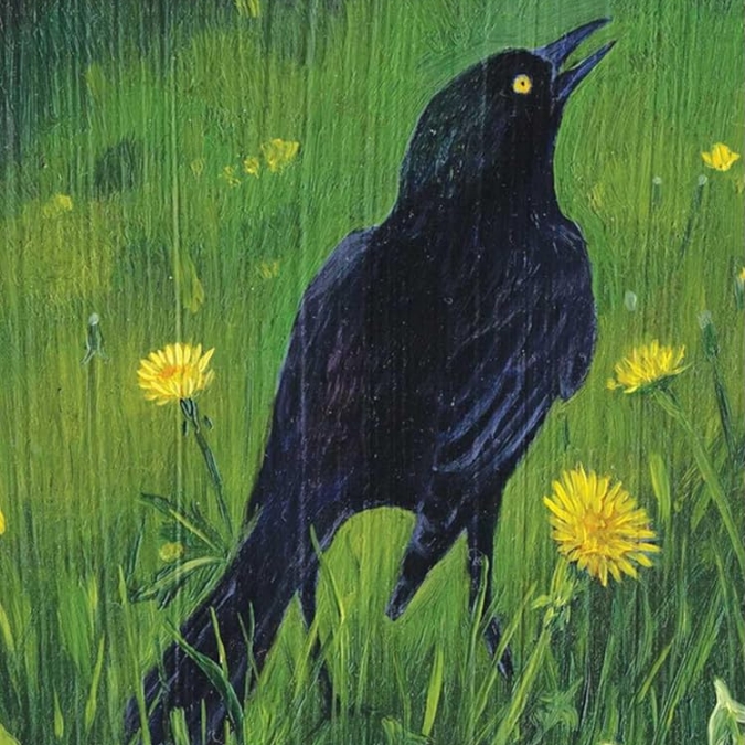 Bird Vibes Meditation Cards (5)