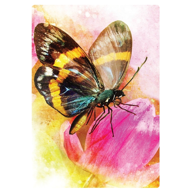 Butterfly Transformations 2nd Edition Affirmations to Energise Miraculous Manifestations Alana Fairchild
